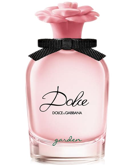 dolce & gabbana fragancia